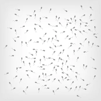 PressFoto_1788429-XSmall.jpg PressFoto_1788429-XSmall.jpg