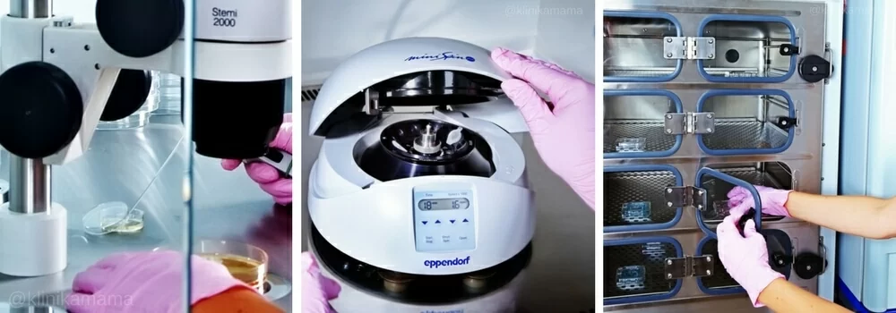 Эмбриология Клиники МАМА Эмбриология Клиники МАМА