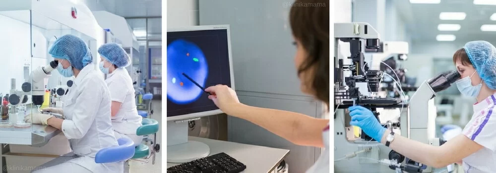 Эмбриология Клиники МАМА Эмбриология Клиники МАМА