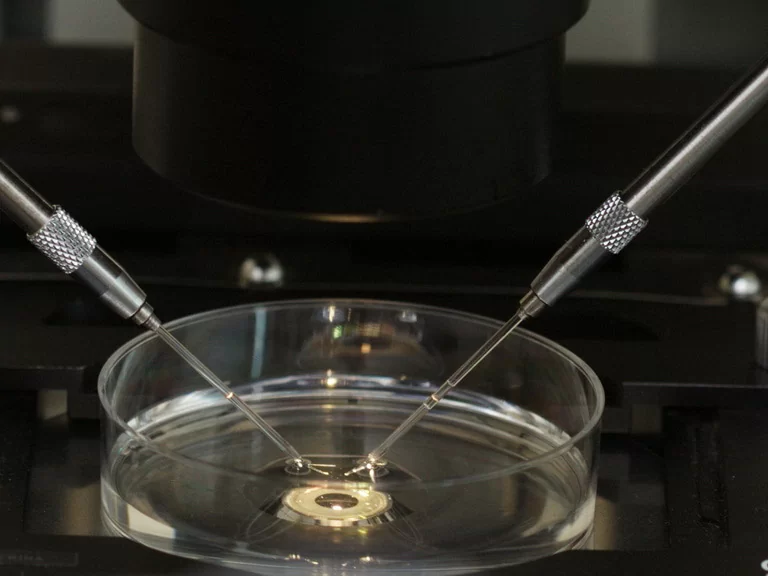 icsi-2.jpg icsi-2.jpg