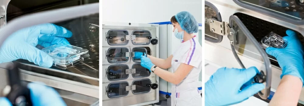 Эмбриология Клиники МАМА Эмбриология Клиники МАМА