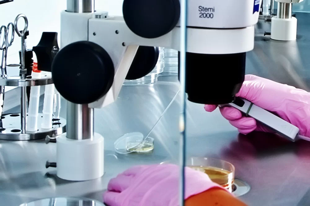 15-IMG_2013-07-02_0099.jpg 15-IMG_2013-07-02_0099.jpg