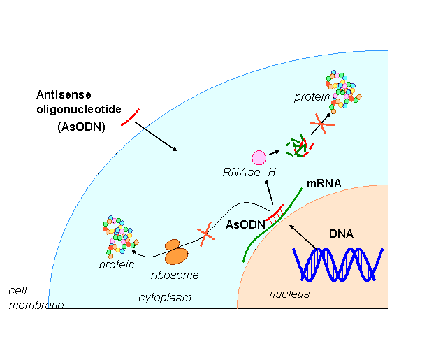 Copy of 123.gif Copy of 123.gif