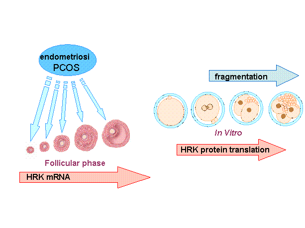 image006.gif image006.gif